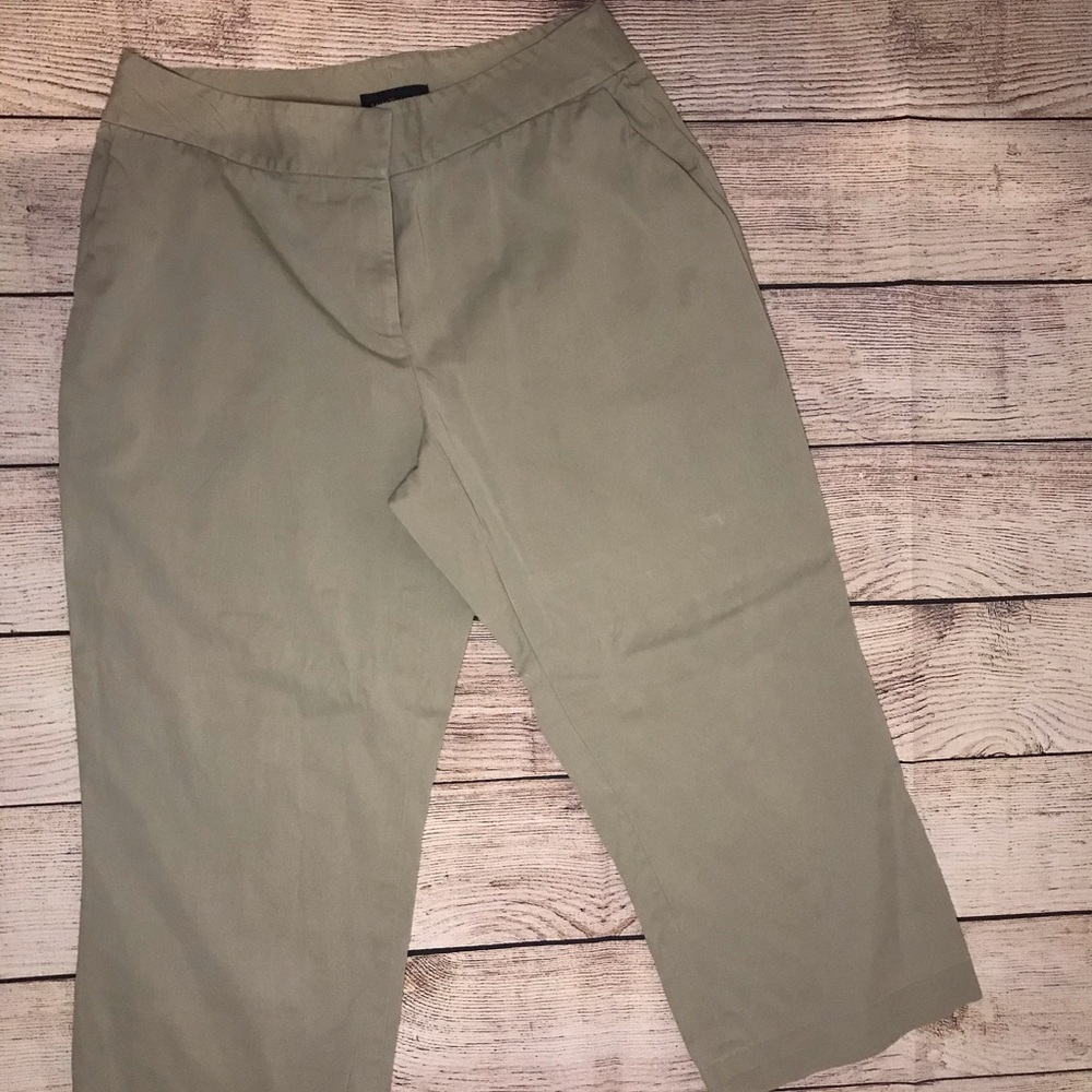 🤑ANN TAYLOR Petites - Capri
